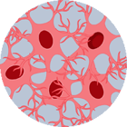 Pathology1