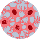 Pathology